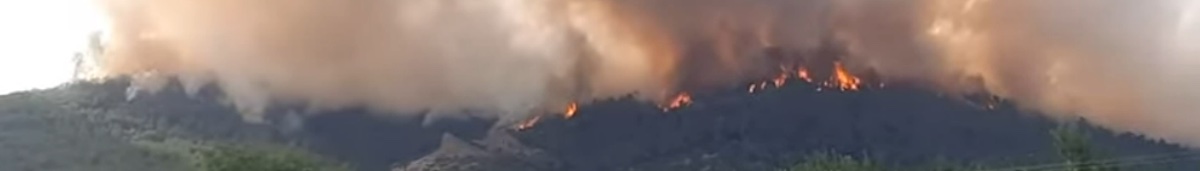 forest fires imag